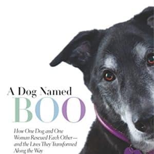 A Dog Named Boo : How One Dog and One Woman Rescued Each Other -- and the Lives They Transformed Along the Way