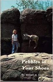 Pebbles in Your Shoes