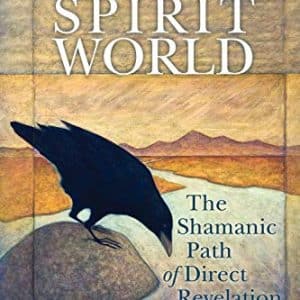 Awakening to the Spirit World : The Shamanic Path of Direct Revelation