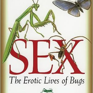 Six-Legged Sex : The Erotic Lives of Bugs