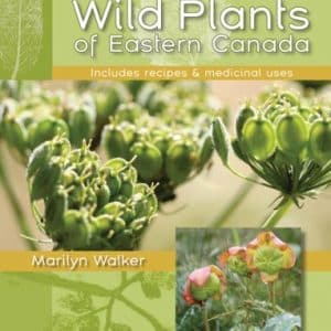 Wild Plants of Eastern Canada
