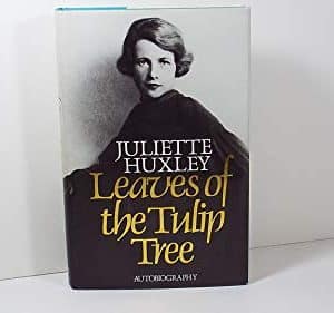 Leaves of the Tulip Tree