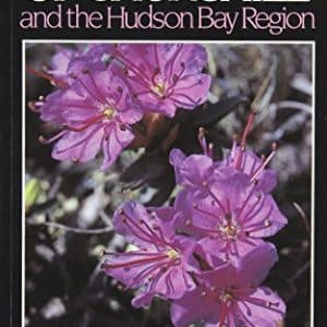 Wildflowers of Churchill and the Hudson Bay Region